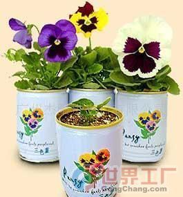 批發(fā)易拉罐花卉價格、廠家及機械設(shè)備全解析——世界工廠網(wǎng)產(chǎn)品信息庫指南