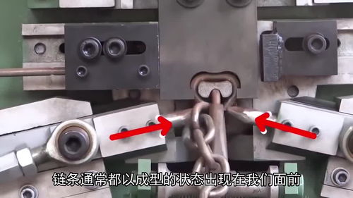 五種日常用品的自動化生產之旅 從全自動剝皮雞蛋看如何解放雙手